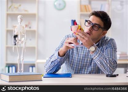 Student studying various parts of heart