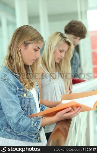 Students reading assignments