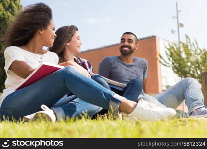 Students sitting on the grass at School Campus