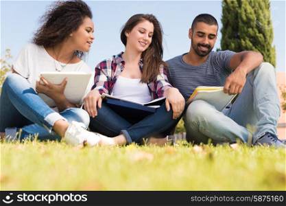 Students sitting on the grass at School Campus