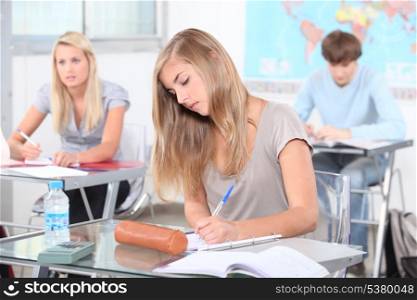 Students studying Geography
