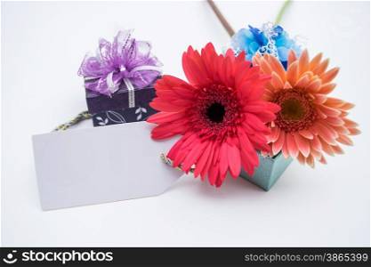 Studio macro of mother&rsquo;s day flowers with soft shadows against a white background
