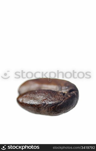 Studio Macro Shot of One Arabica Coffee Bean.