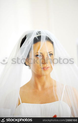 Studio portrait of beautiful stylish bride