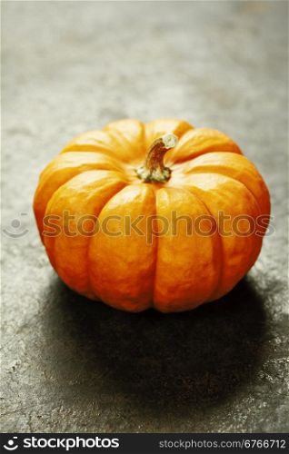 Studio shot of a nice ornamental pumpkin on dark background