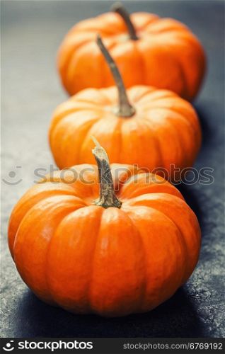 Studio shot of a nice ornamental pumpkins on dark background