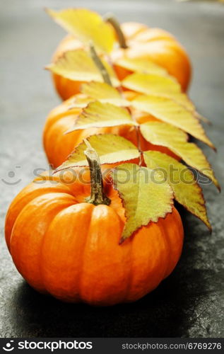 Studio shot of a nice ornamental pumpkins with fall leaves on dark rustic background