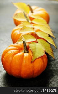 Studio shot of a nice ornamental pumpkins with fall leaves on dark rustic background