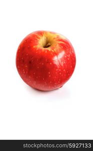 Studio shot of apples on white background