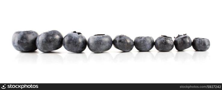 Studio shot of blueberries on white background