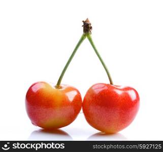 Studio shot of cherries on white background