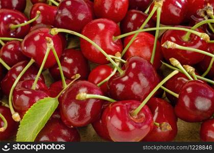 studio shot of cherries with petioles on a pile and one leaf for decoration