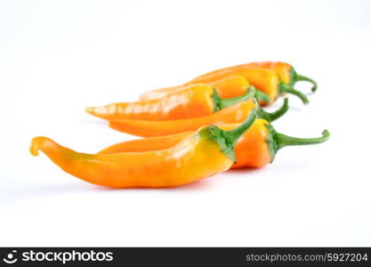 Studio shot of chilli peppers