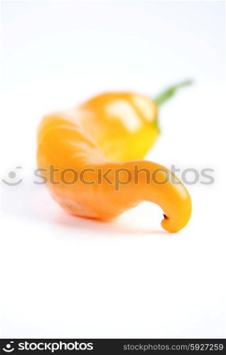 Studio shot of chilli peppers