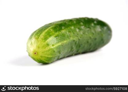 Studio shot of cucumber on white background