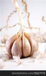 Studio shot of garlic on white background