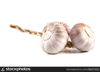 Studio shot of garlic on white background