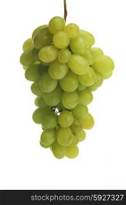 Studio shot of grapes on white backgroud