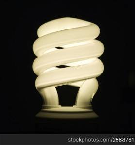 Studio shot of illuminated energy saving light bulb.