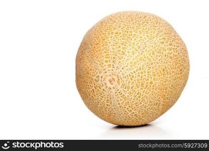 Studio shot of melons on white background