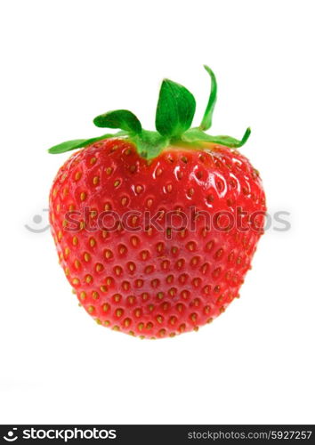 Studio shot of strawberries on white background