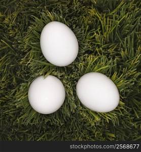 Studio shot of three white eggs laying in grass.