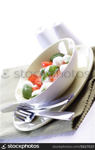 Studio shot of tomato and mozarella salad