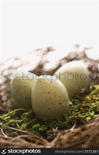 Studio still life of bird&acute;s nest with three speckled eggs.