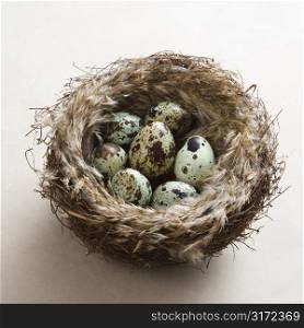 Studio still life of speckled eggs in nest.