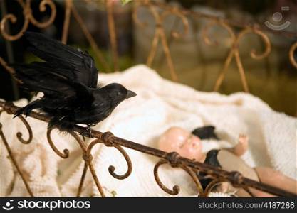 Stuffed Blackbird and Baby Doll in Antique Crib