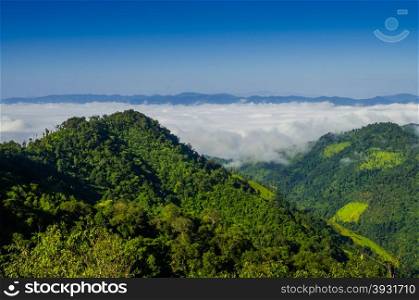 Stunning aerial view of spectacular jungles