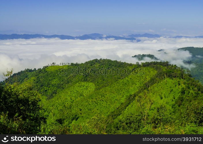 Stunning aerial view of spectacular jungles