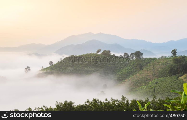 Stunning aerial view of sunrise with sea of fog above Mekong river at mountain viewpoint in Nong Khai Province, Thailand