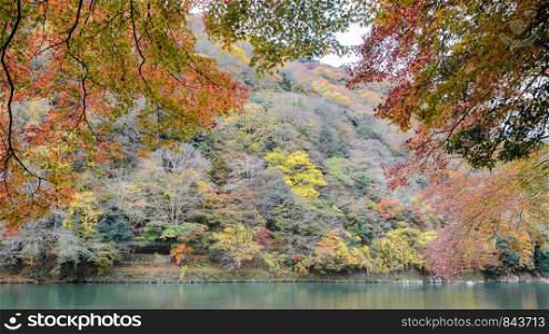 Stunning autumn color view of Asashiyama mountain and Oigawa river in Arashiyama, Kyoto, Japan