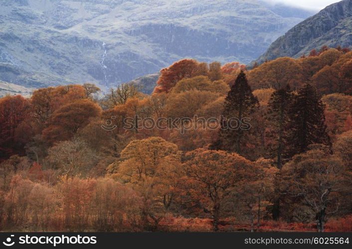 Stunning Autumn Fall color landscape of Lake District in England