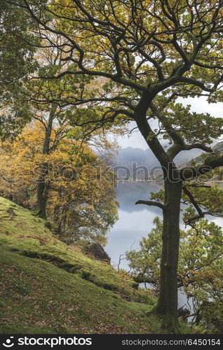 Stunning Autumn Fall landscape image of Lake Buttermere in Lake District England