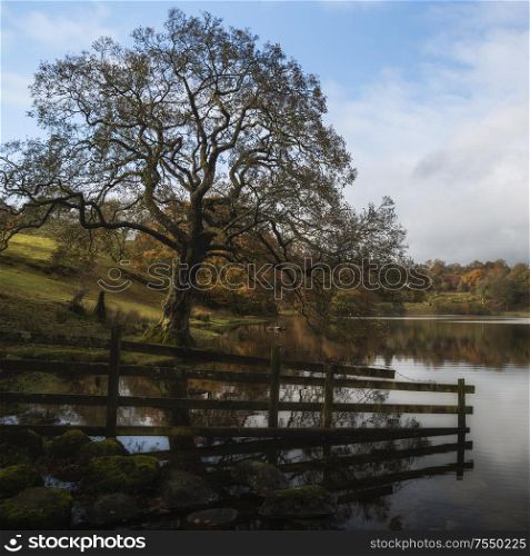 Stunning Autumn Fall landscape of lake in sunrise soft light in English countryside