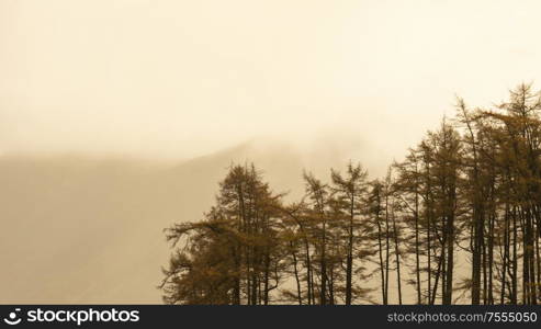 Stunning Autumn Fall landscape view along valley towards Mellbreak and Grasmoor in Lake District with beautiful epic lighting in late afternoon