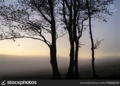 Stunning bare tree lanscape image against vibrant dramatic sunset sky with fog rolling across countryside in background