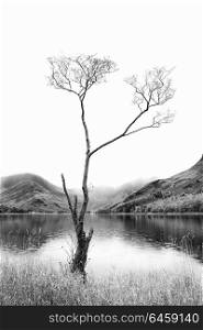 Stunning black and white high key landscape image of Lake Buttermere in Lake District England