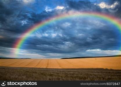 Stunning countryside landscape wheat field in Summer sunset with rainbow