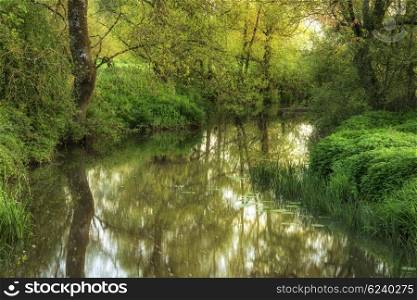 Stunning dawn landscape image of river flowing through lush green woodland setting