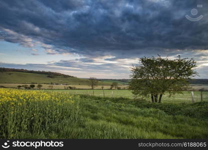 Stunning English countryside landscape over fields at sunset