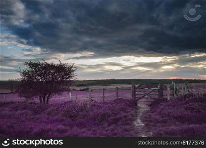 Stunning English countryside landscape over fields at sunset with surreal purple tint concept