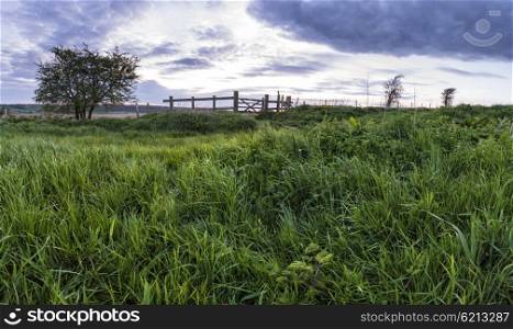 Stunning English countryside panorama landscape over fields at sunset