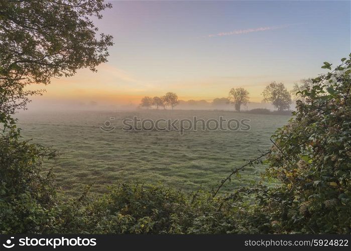 Stunning foggyAutumn sunrise English countryside landscape image