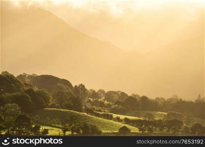 Stunning golden light of sunrise on side of Low Fell in the English Lake District countryside during late Summer
