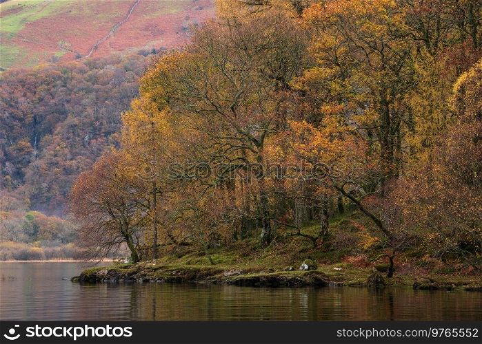 Stunning Lake District forest landscape of Manesty Park during vibrant Autumn Fall colors scene