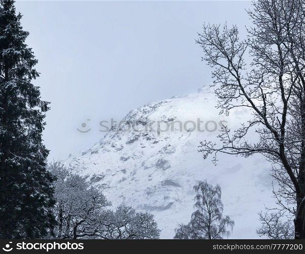 Stunning landscape image of snow covered Scottish mountain in Winter viewed through treetopd in forest