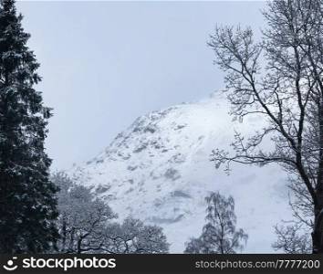 Stunning landscape image of snow covered Scottish mountain in Winter viewed through treetopd in forest